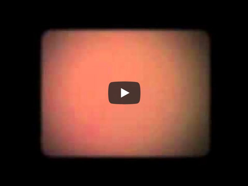 Video: brunk – Zomaar Video: brunk – Zomaar