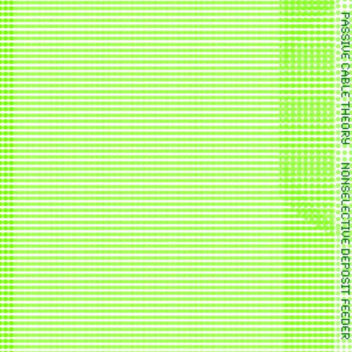 Passive Cable Theory – Nonselective deposit feeder