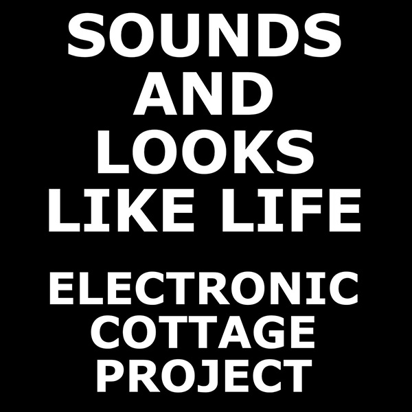 Sounds and Looks Like Life – international community video/photo/audio assemblage project